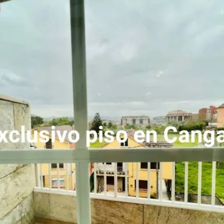 Alojamiento Os Pineiros